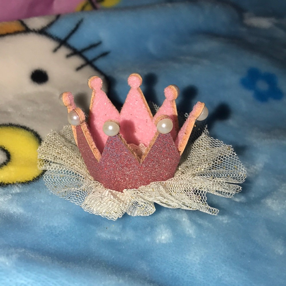 Brand new girls 👑 hair clip!